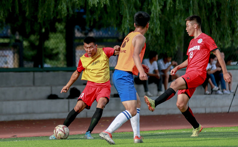 不是临阵有 不是临阵有